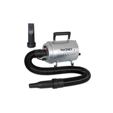 PHOENIX UNIVERSAL HURRICANE BLASTER-DRYER
