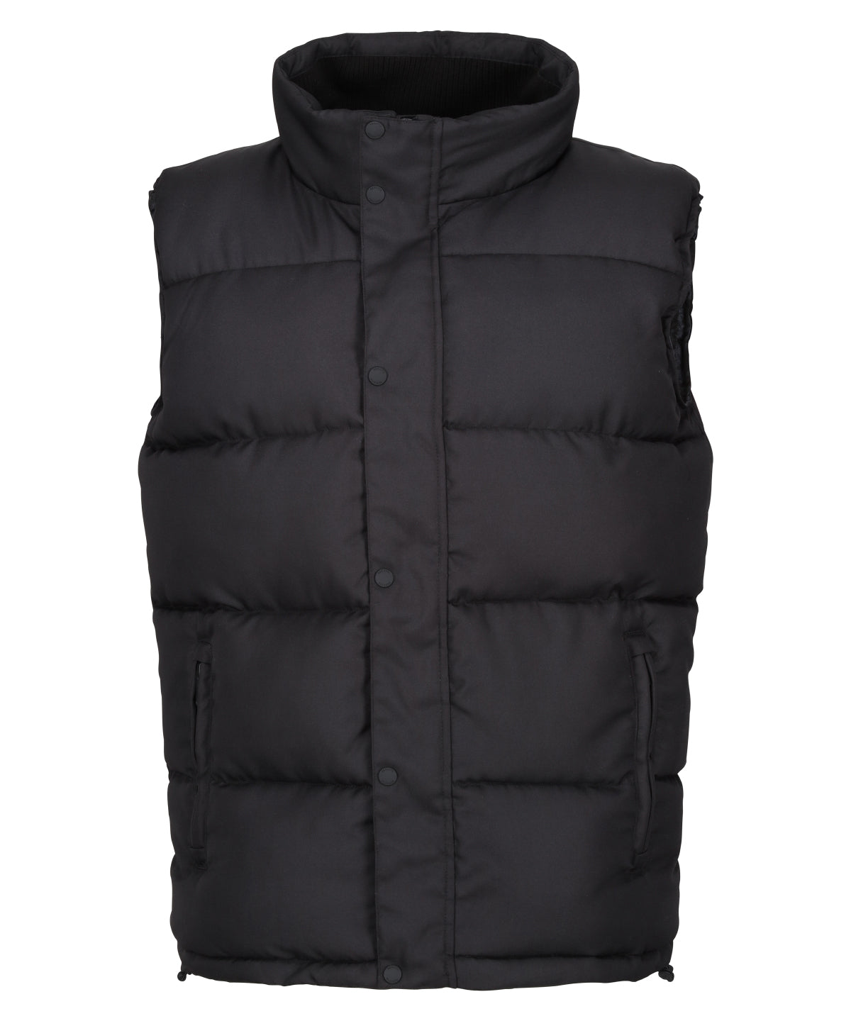 Regatta Professional Northdale Insulated Bodywarmer (RG586)