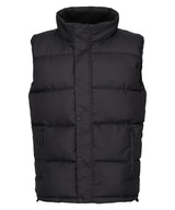 Regatta Professional Northdale Insulated Bodywarmer (RG586)