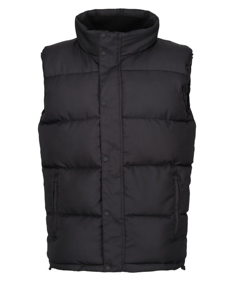 Regatta Professional Northdale Insulated Bodywarmer (RG586)