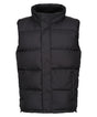 Regatta Professional Northdale Insulated Bodywarmer (RG586)
