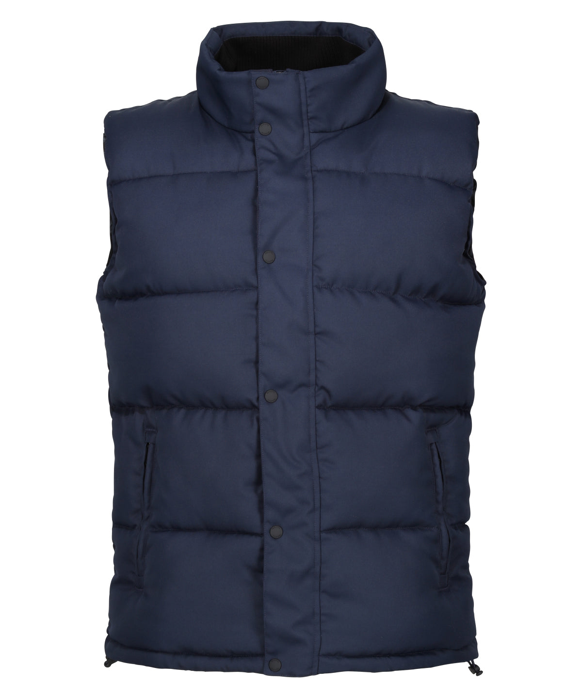 Regatta Professional Northdale Insulated Bodywarmer (RG586)