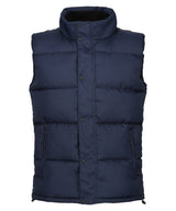 Regatta Professional Northdale Insulated Bodywarmer (RG586)