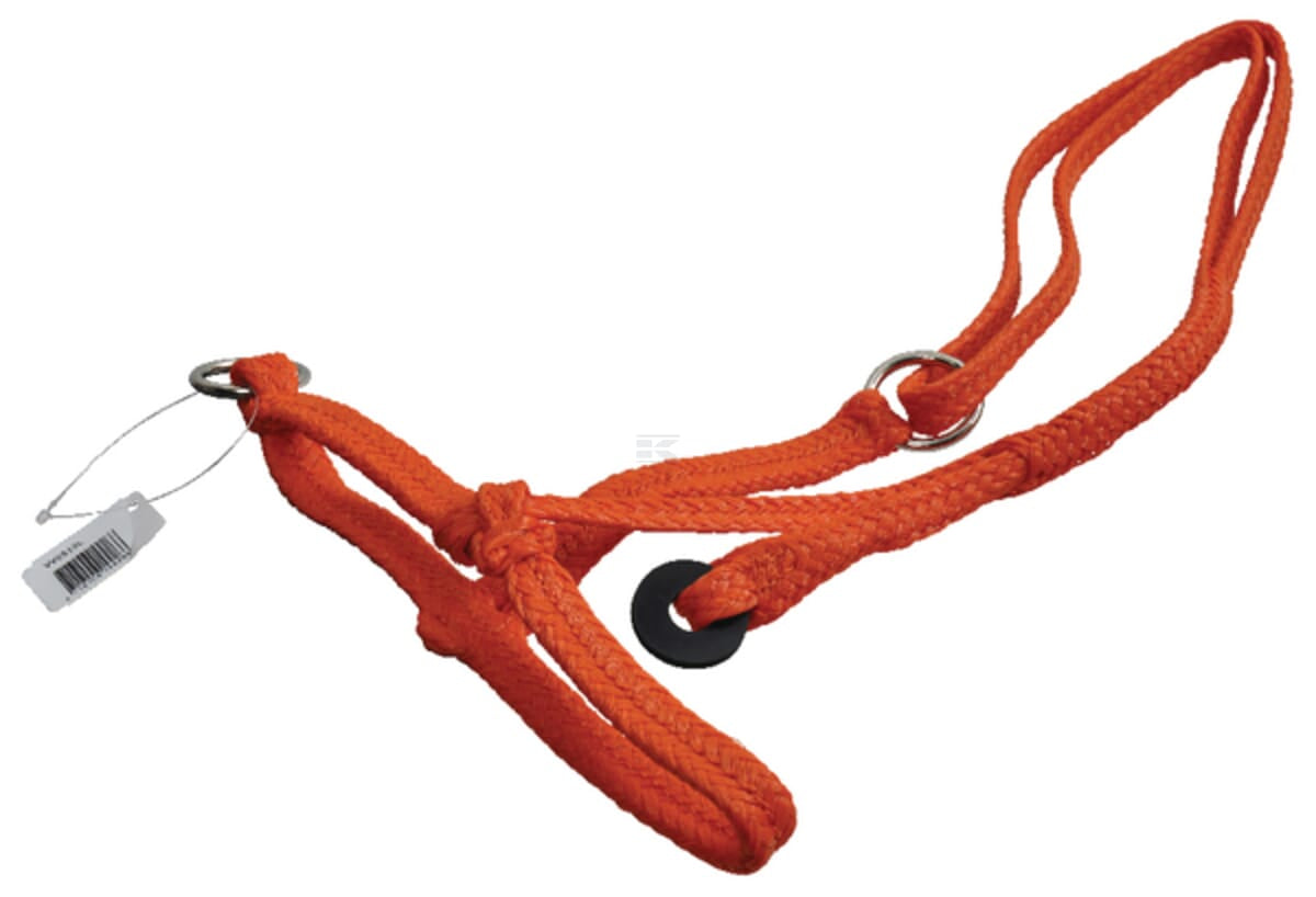 Cow halter