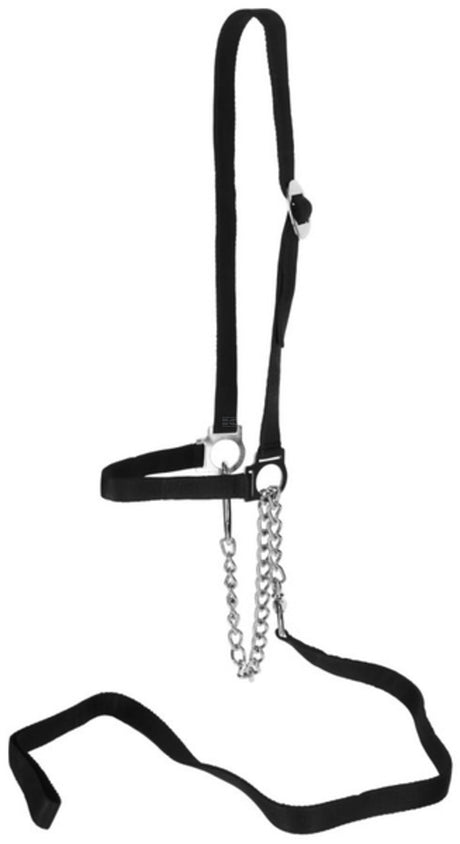 Kerbl Cattle halter, complete