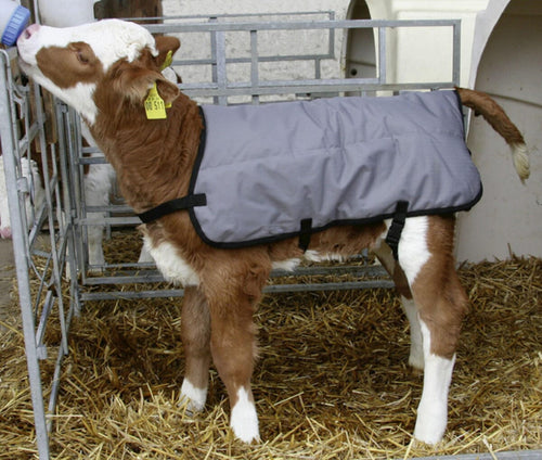 Kerbl Calf blankets Ripstopp