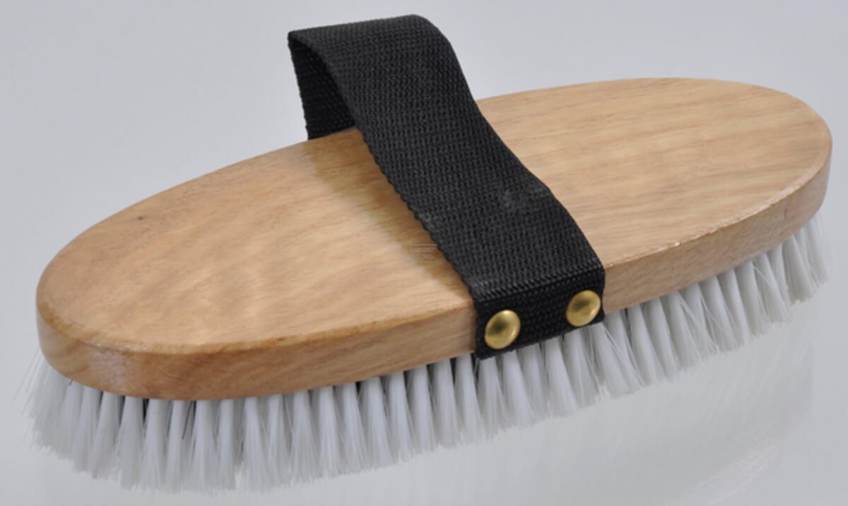 Care Brusher for Horses