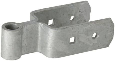 WAELBERS Short Hinge with double band FV