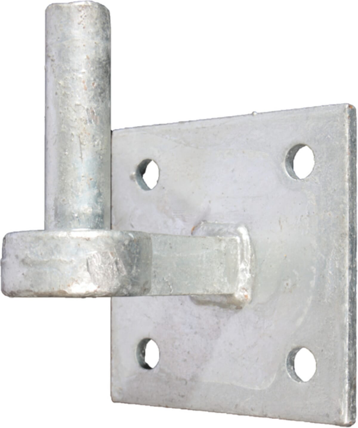WAELBERS Hinge hook heavy round 19mm on plate FV