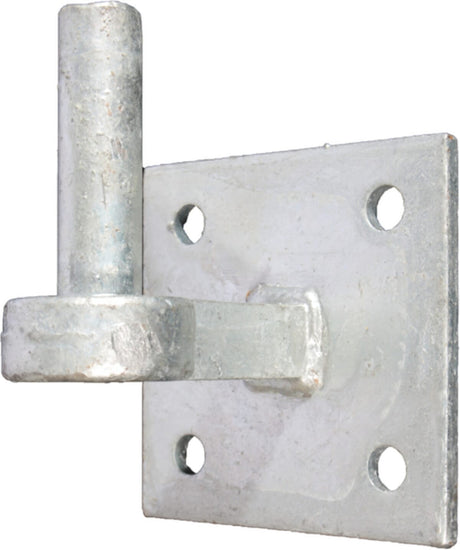 WAELBERS Hinge hook heavy round 19mm on plate FV