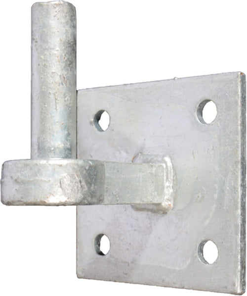 WAELBERS Hinge hook heavy round 19mm on plate FV