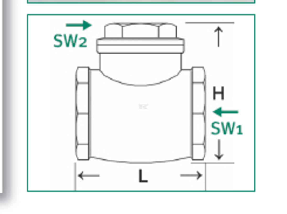 Vertical check valve female - female