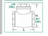 Vertical check valve female - female
