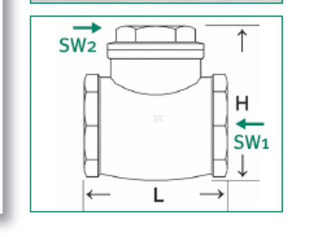 Vertical check valve female - female