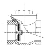 Vertical check valve female - female