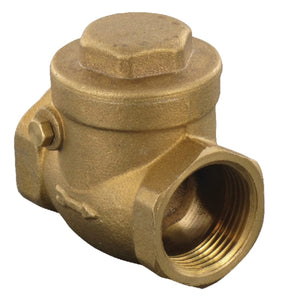Vertical check valve female - female