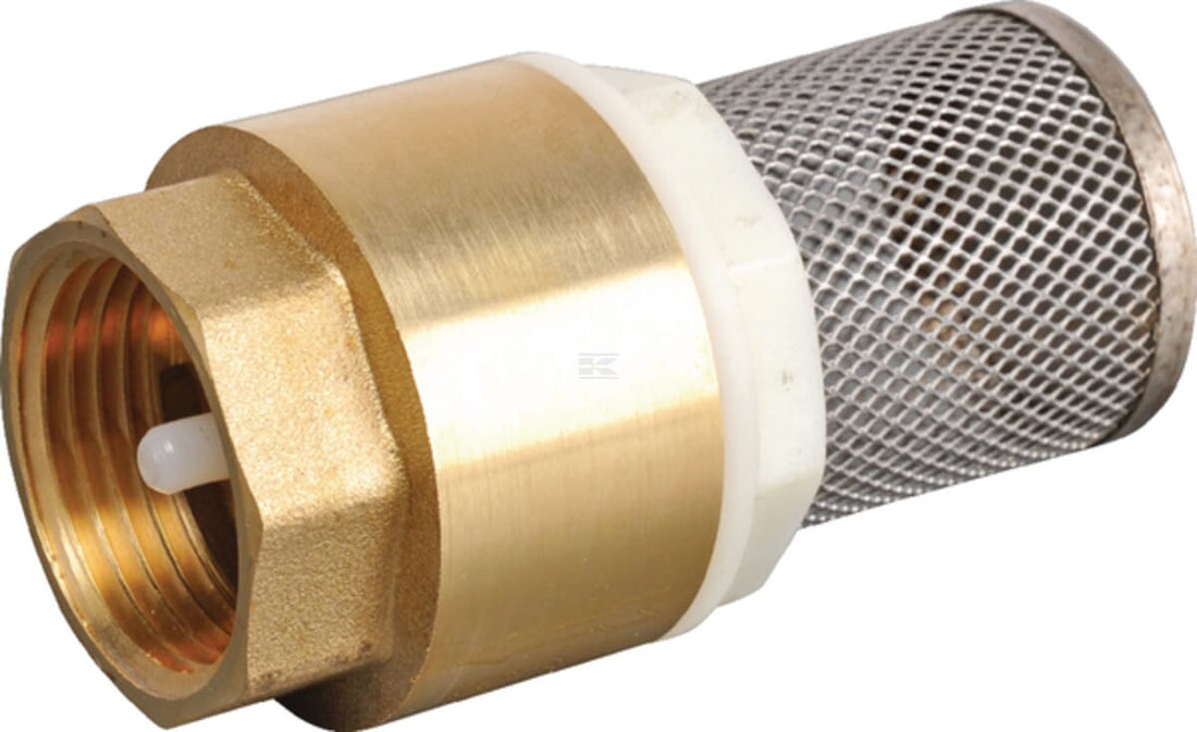 Non returnable foot valve with S.S. screen