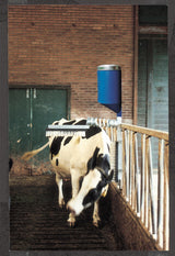 CATTLE BRUSH WITH DISPENSER