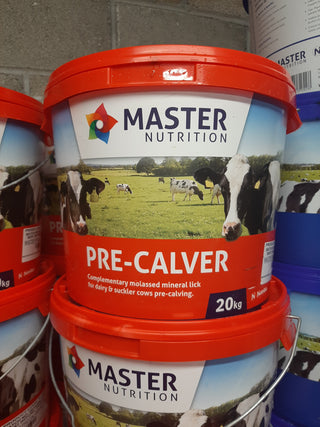 Master PRE-CALVER Mineral block 20kg