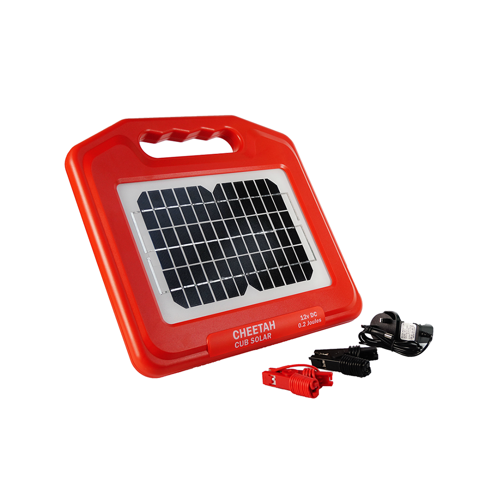 Cheetah Solar Cub