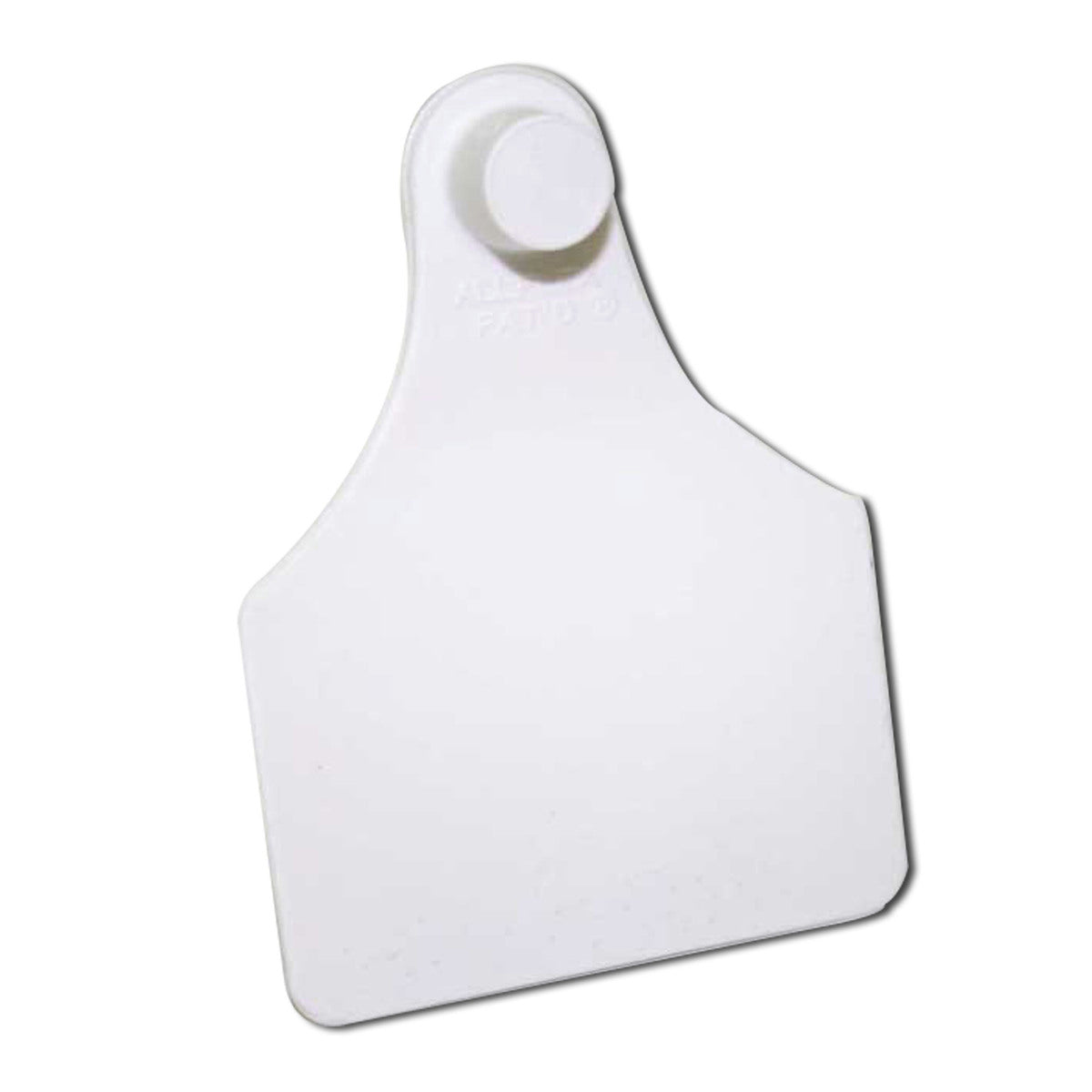 TAG WHITE LGE FEMALE BLANK