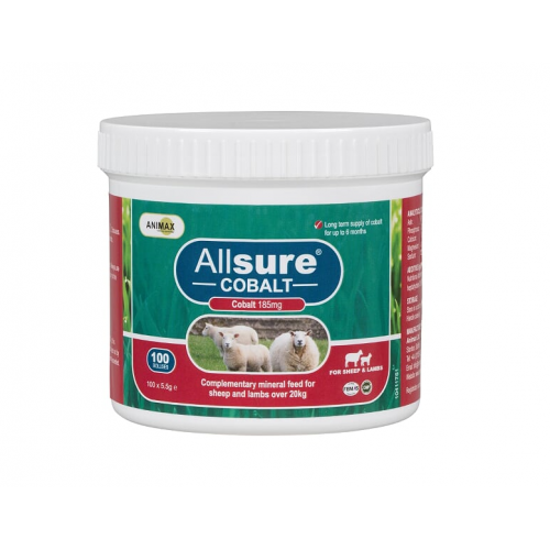 ALLSURE SHEEP