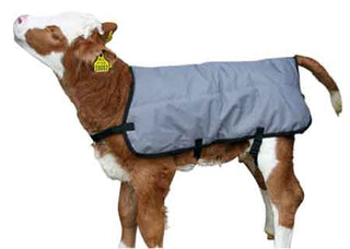Breathable Calf Jacket