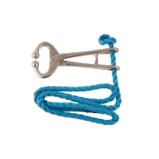 Bullholder with Rope