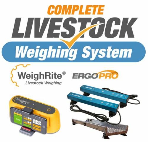 ErgoPro WeighRite Complete Kit  Connect to your PHONE