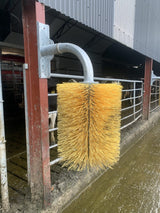 CONDON COW BRUSH
