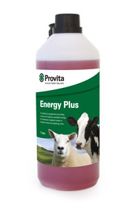 Provita Energy Plus