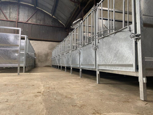 INDIVIDUAL CALF PEN