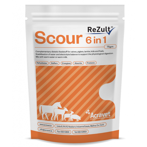 REZULT SCOUR 6 IN 1 SACHETS 12'S