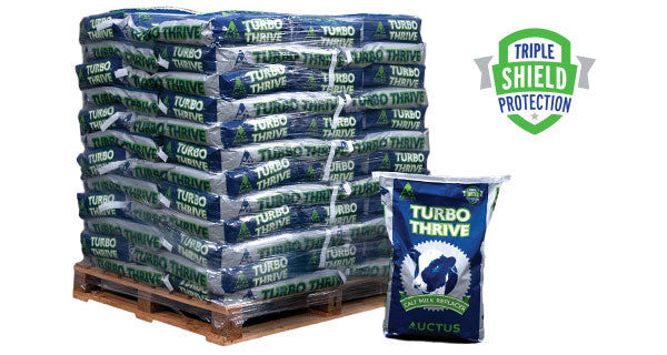 Turbo Thrive Milk Replacer 60 x 20kg
