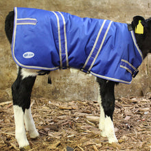 JFC Agri Calf Coat