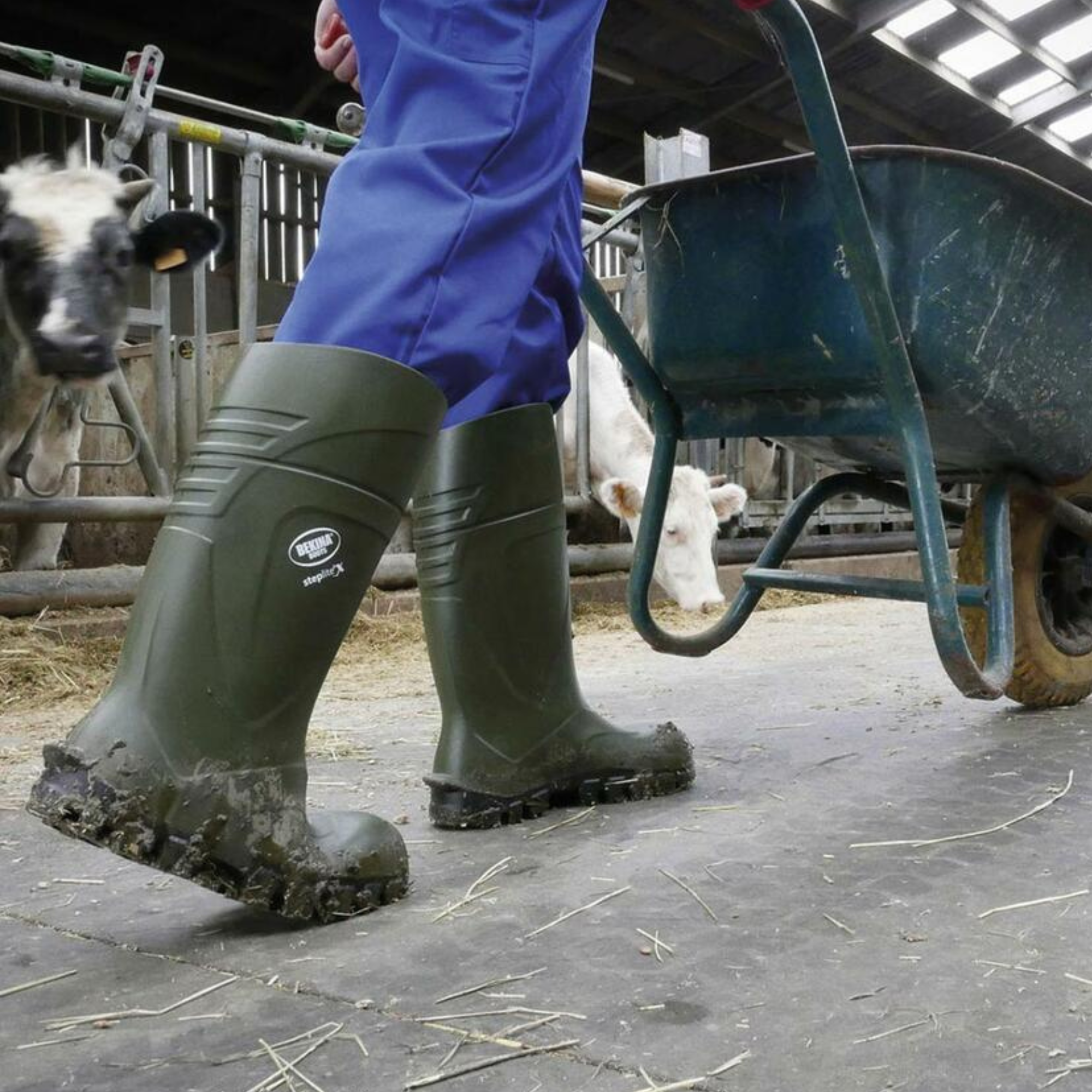 Agrilite wellingtons shop