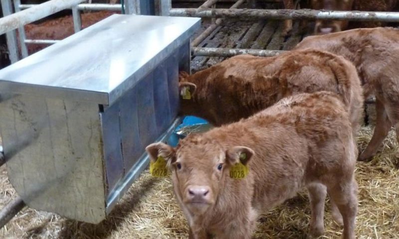 CALF FEEDER BOX