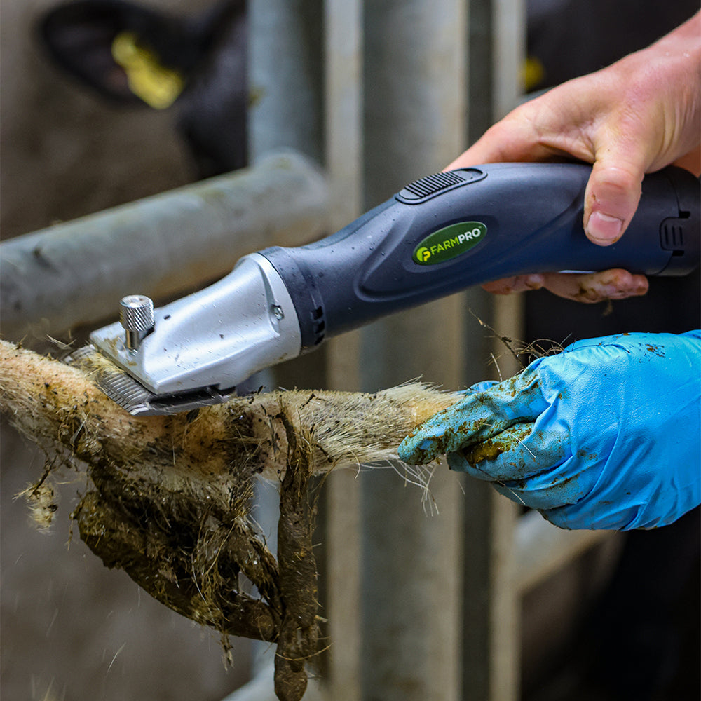 Clipping & Cattle Care